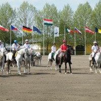 VII. Bábolna Derby