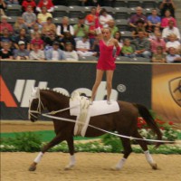 Esztergomi Anita