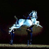 Fieracavalli, Real Escuela Andaluza del Arte Ecuestre Cabriola