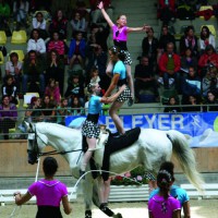 Lovastorna2010