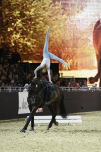 f_equitana2009_26
