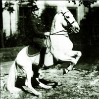 Haslinszky Géza