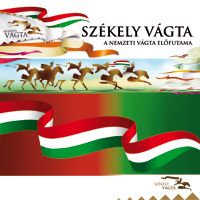 sz_v_logo