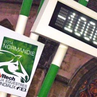 A 2014-es Alltech FEI Lovas Világjátékok logója