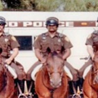 Forrás: horsetalk.co.nz