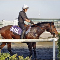 dosi