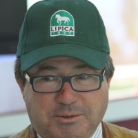 Forrás: FogathajtoHirek.hu