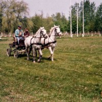 Fekete László, Pannon Maraton '92 (Forrás: FogathajtoHirek.hu)