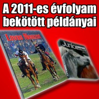 bekötött példányok2