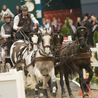 Ronde Koos de (NED)