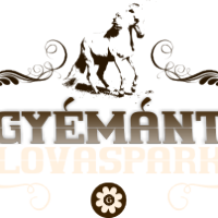 gyemant logo(1)