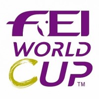 fei ,logo(1)