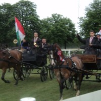 holle lehőcz