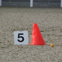 Day 1 Horse in Sport (5)(2)
