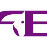 fei-logo