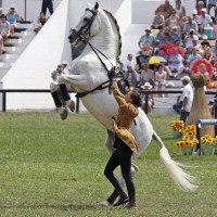 Epona
