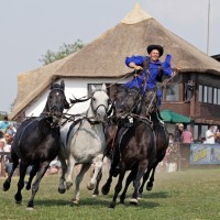 pusztaötös