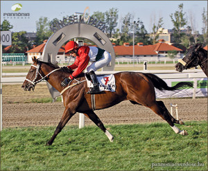2013-09-01-09ob_web