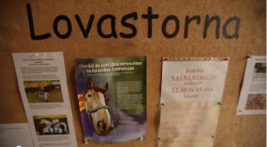 lovastorna