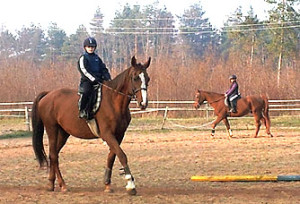 218028_stornya_lovasok1