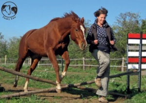 paraki