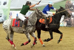 polo