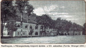 mezőhegyes