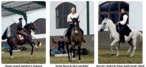 piafshow