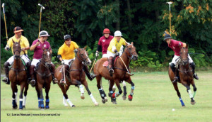 polo