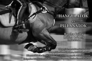 Plakat_Bicske