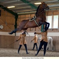 epona