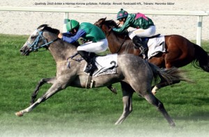 galopp