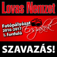 szavazás