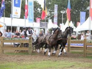 boyd-excel-ned-fei-world-championships-four-in-hand-breda-marathon-2016